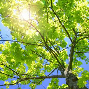 免费国产阿v视频在线观看
